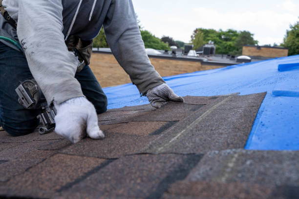 Best Metal Roofing Contractor  in Wake Village, TX